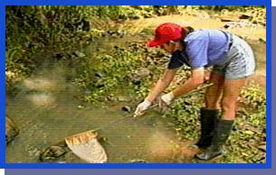 High School Student sampling stream fauna 18kb